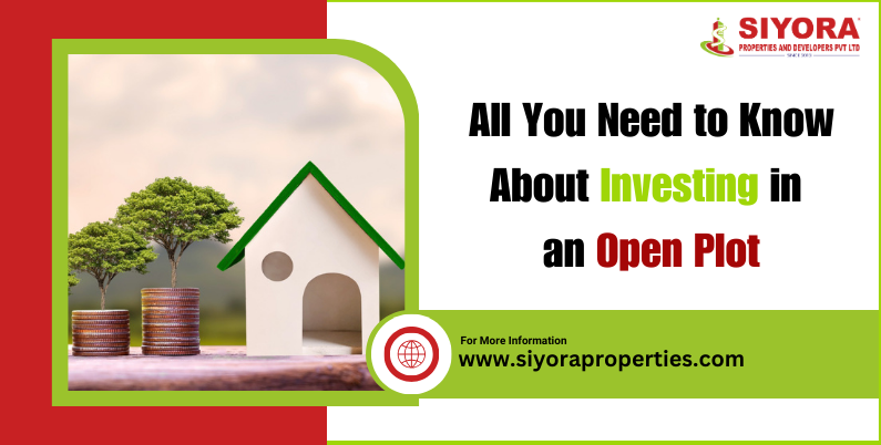 All You Need to Know About Investing in an Open Plot